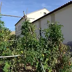 Il Gallo Senone Di Campagna 4* Senigallia