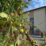 Il Gallo Senone Di Campagna منتجع 4*