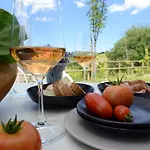 Il Gallo Senone Di Campagna 4* סניגליה
