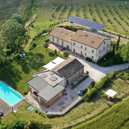 Il Gallo Senone Senigallia