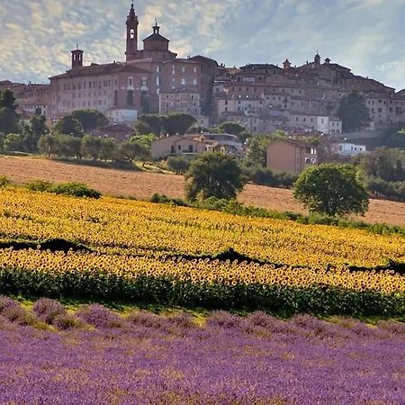 Resort Il Gallo Senone Senigallia