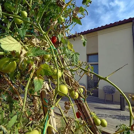 Il Gallo Senone Resort 4*