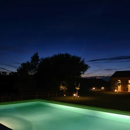 Il Gallo Senone Senigallia