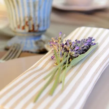 Il Gallo Senone 4* Senigallia