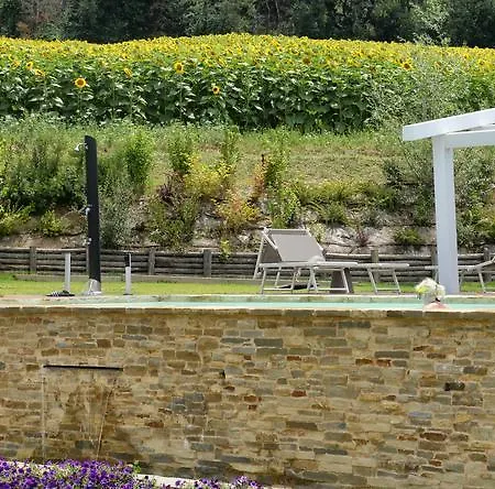 Il Gallo Senone Senigallia