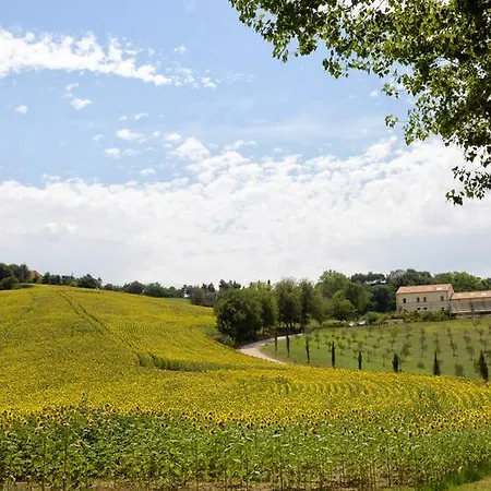 Il Gallo Senone Resort 4*